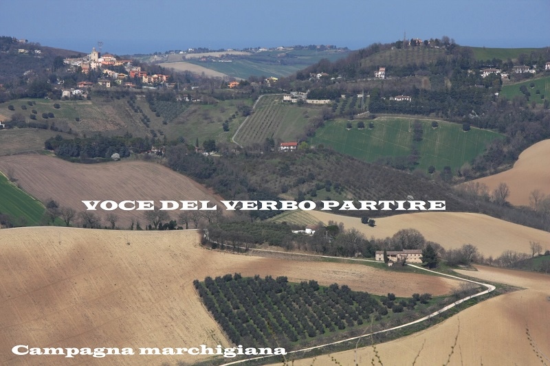 COSA VEDERE NEI DINTORNI DEL CONERO