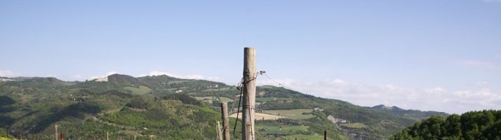Cosa vedere nei dintorni di Cesena: itinerario tra borghi, rocche, eventi